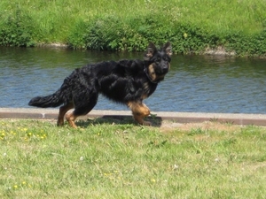 jethro 24-05-2008