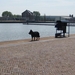 jethro 24-05-2008