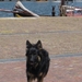 jethro 24-05-2008