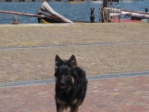 jethro 24-05-2008