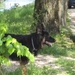 jethro 24-05-2008