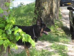 jethro 24-05-2008