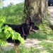 jethro 24-05-208