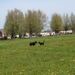 jethro 25-04-2008