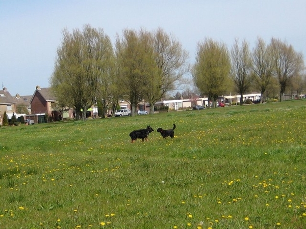 jethro 25-04-2008