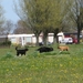 jethro 25-04-2008