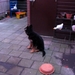 jethro 26-01-2008