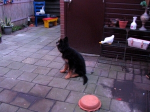 jethro 26-01-2008