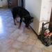 jethro 26-01-2008