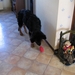 jethro 26-01-2008