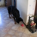 jethro 26-01-2008