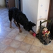 jethro 26-01-2008