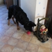 jethro 26-01-2008
