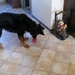 jethro 26-01-2008