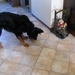 jethro 26-01-2008
