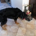 jethro 26-01-2008