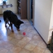 jethro 26-01-2008