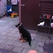 jethro 26-01-2008
