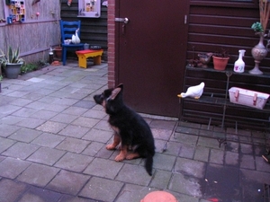 jethro 26-01-2008