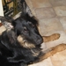 jethro 26-01-2008