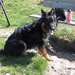 jethro 26-01-2008