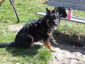 jethro 26-01-2008