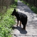 jethro 26-01-2008