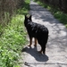 jethro 26-01-2008