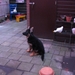 jethro 26-01-2008
