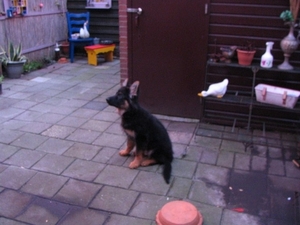 jethro 26-01-2008