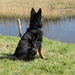 jethro 26-01-2008