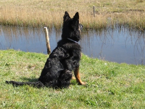 jethro 26-01-2008