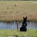 jethro 26-01-2008