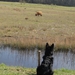 jethro 26-01-2008