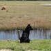 jethro 26-01-2008