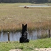 jethro 26-01-2008