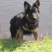 jethro 26-01-2008