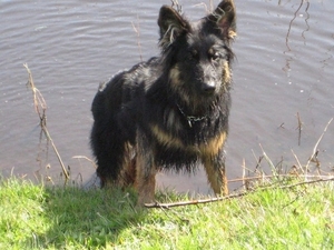 jethro 26-01-2008