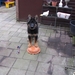 jethro 26-01-2008