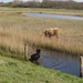jethro 26-01-2008