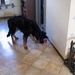 jethro 26-01-2008