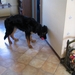 jethro 26-01-2008