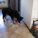 jethro 26-01-2008