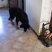 jethro 26-01-2008