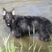jethro 29-04-2008