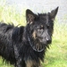 jethro 29-04-2008