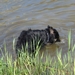 jethro 29-04-2008