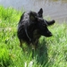 jethro 29-04-2008