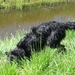 jethro 29-04-2008