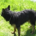 jethro 29-04-2008